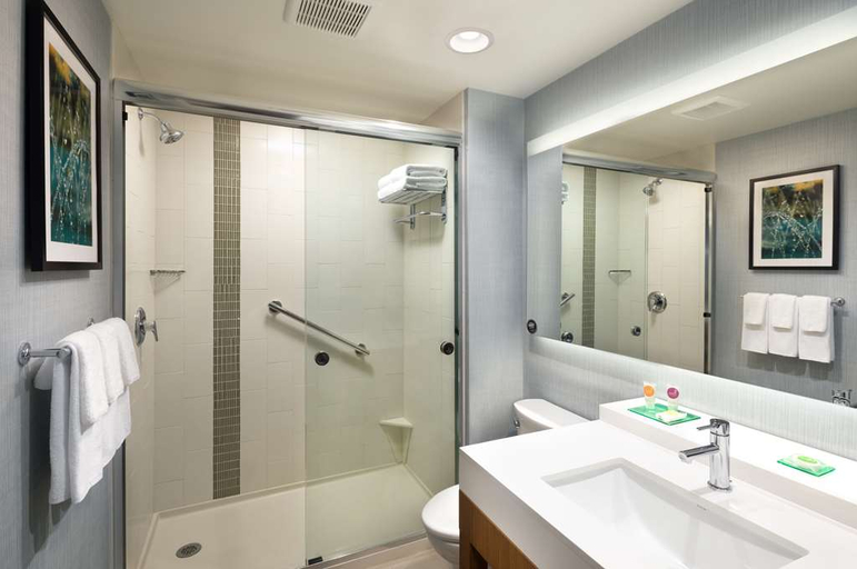 Bathroom 4, Hyatt Place Biloxi, Harrison