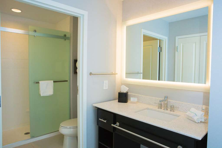 Bathroom 4, Homewood Suites Allentown Bethlehem Center Valley, Lehigh
