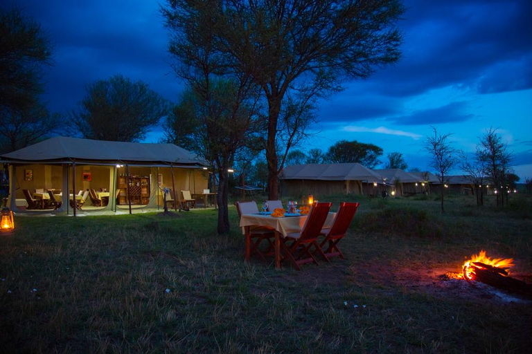 Others 3, Kenzan Mara Tented Camp, Serengeti