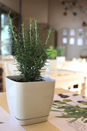 Others 5, Achlada - Mourtzanakis Residence, Crete