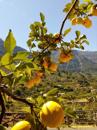 Exterior & Views 2, Sa Tanqueta de Fornalutx, Baleares