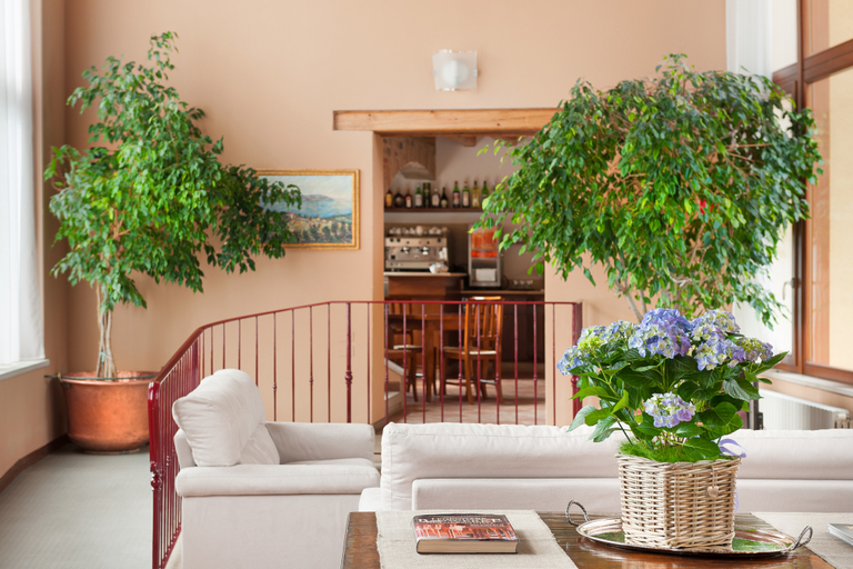 Public Area 2, Hotel Tre Punte, Brescia