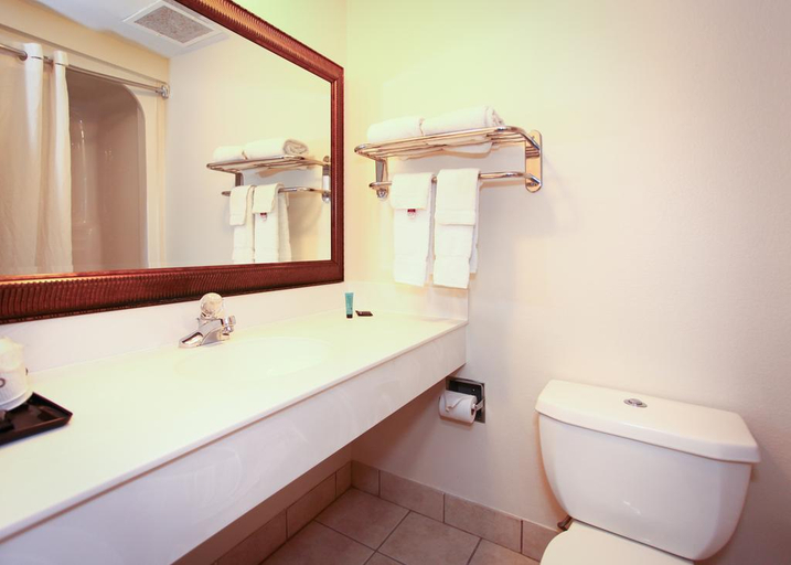 Bathroom 4, Econo Lodge Inn & Suites Fairview Heights - St. Louis, Saint Clair