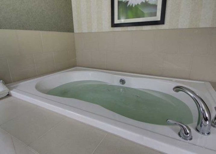 Bathroom 5, Quality Inn & Suites Quincy - Downtown, Adams