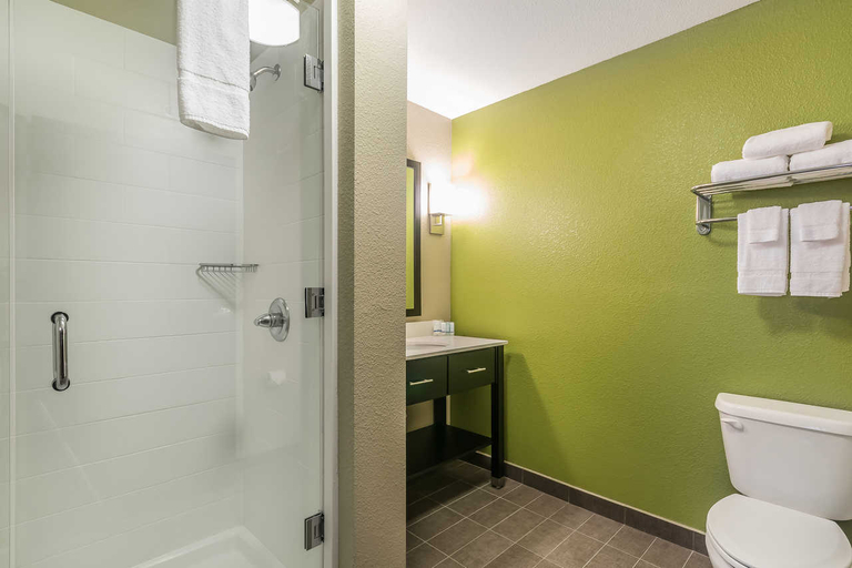 Bathroom 4, Sleep Inn & Suites Columbia, Adair