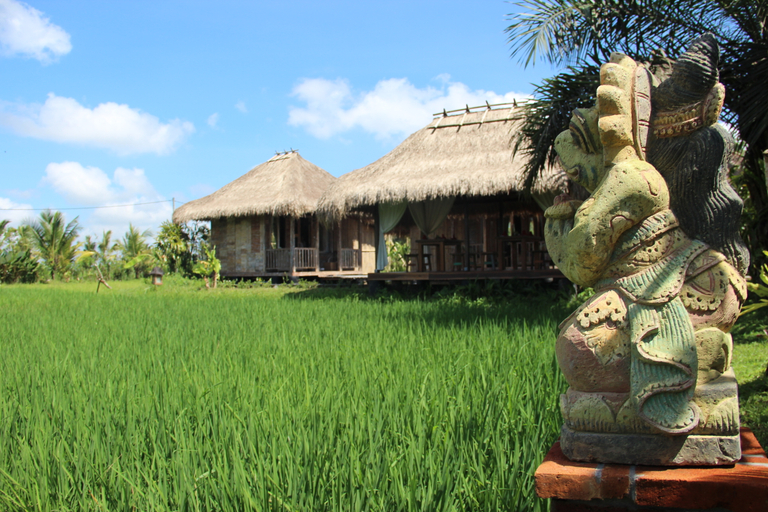 Public Area 3, De Klumpu Bali Eco Tradi Stay, Bangli