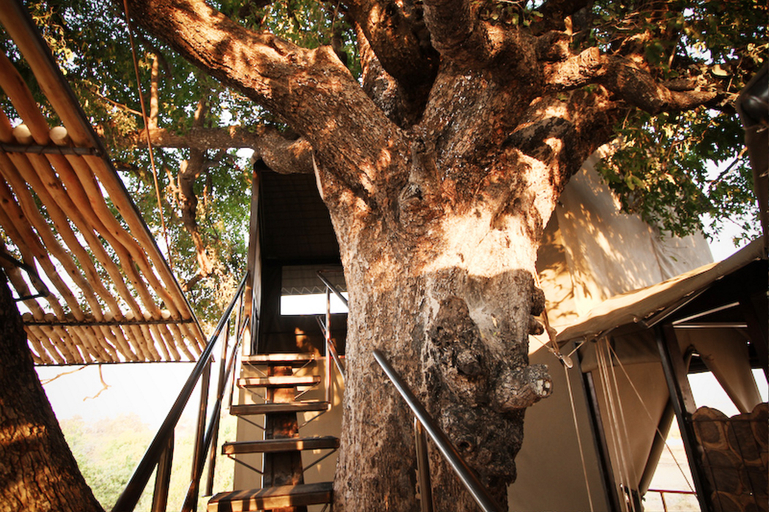 Public Area, Jackalberry Tented Camp, Linyandi