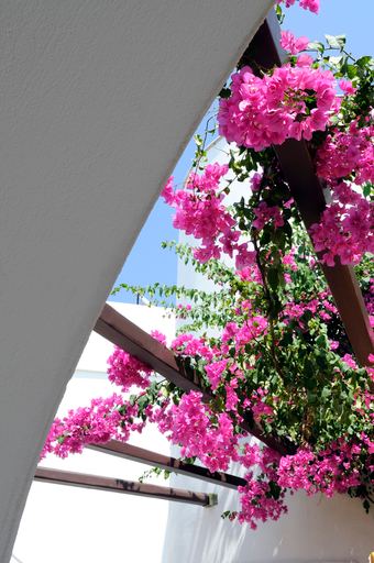 Others 5, Sunrise Accommodation by Mr and Mrs White, South Aegean