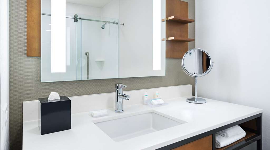 Bathroom 4, Hilton Garden Inn Chicago McCormick Place, Cook