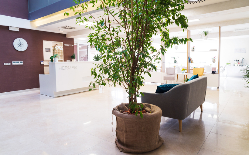 Public Area 2, Hotel Perseus Budva