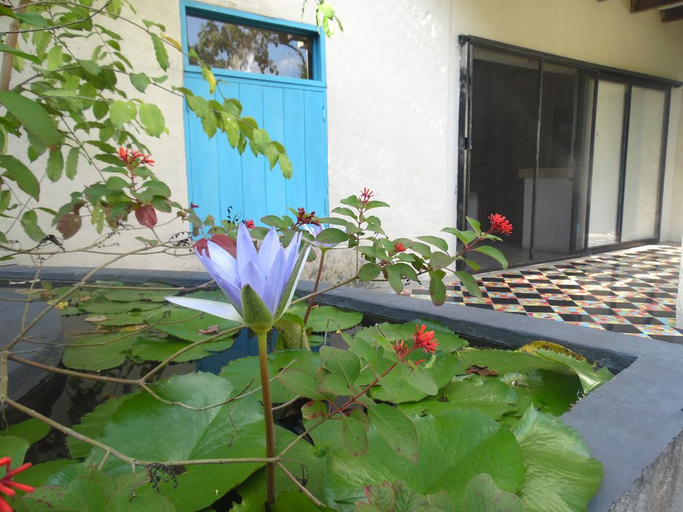 Public Area 2, Huerto del Bambu, Tuxpan
