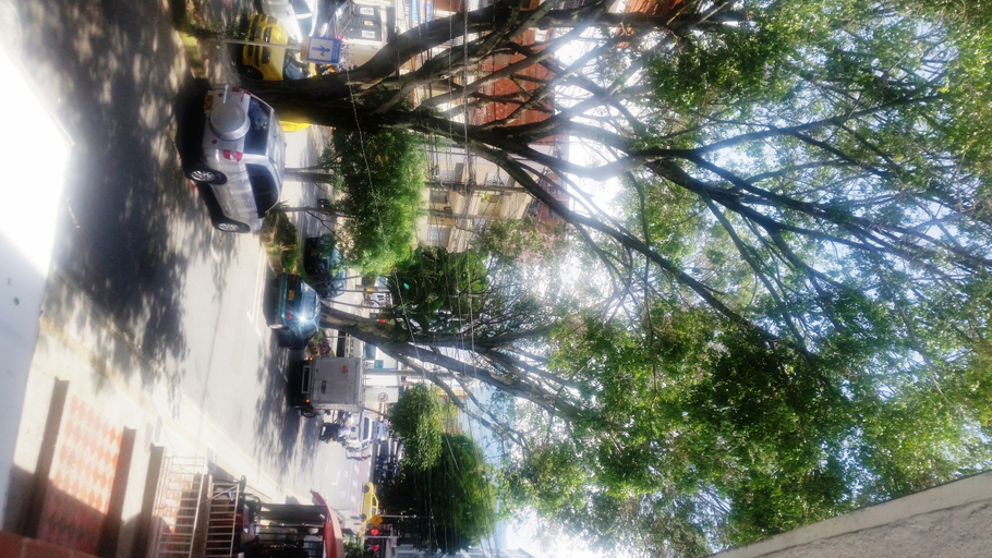 Public Area