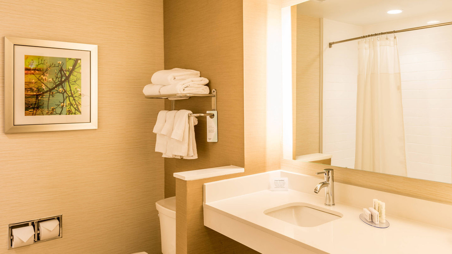 Bathroom 5, Fairfield Inn & Suites Atlanta Fairburn, Fulton