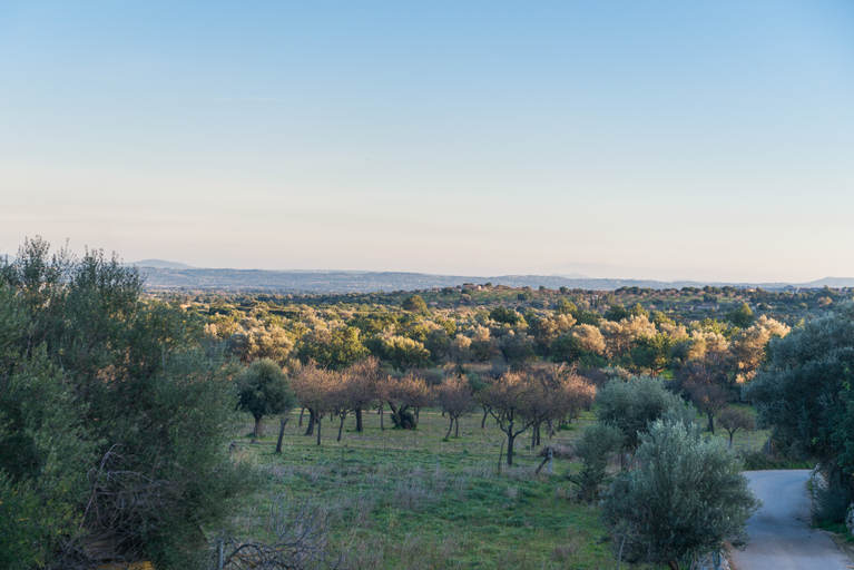 Exterior & Views 2, New Can Furios Hotel By Can Calco Hotels, Baleares