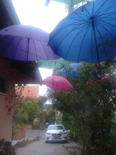Barud Gedera,