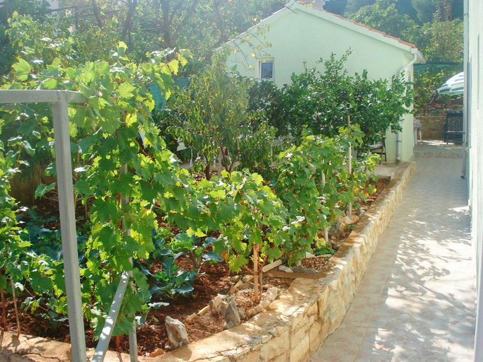 Public Area, Apartments Jasenka Supetar, Supetar