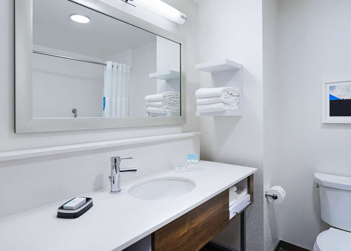 Bathroom 4, Hampton Inn Chicago McCormick Place, Cook