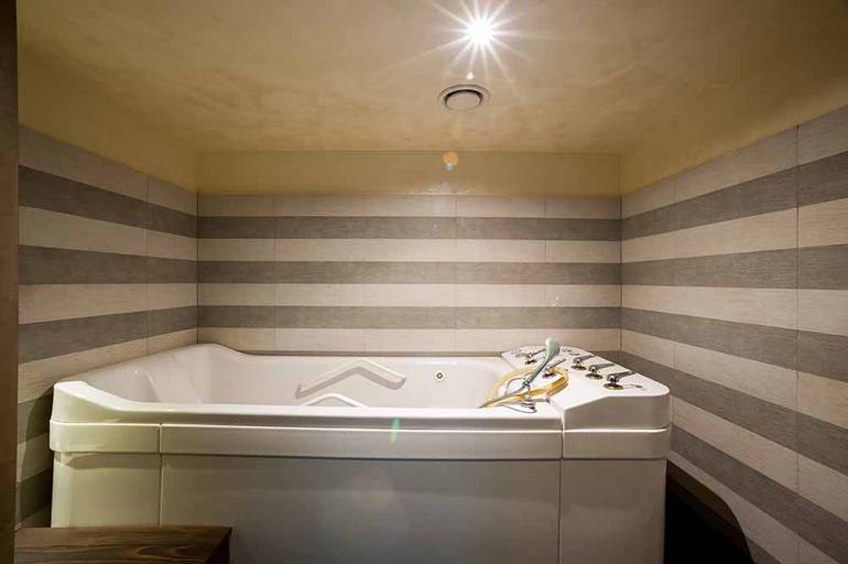 Bathroom 5, Ezeretz, Blagoevgrad