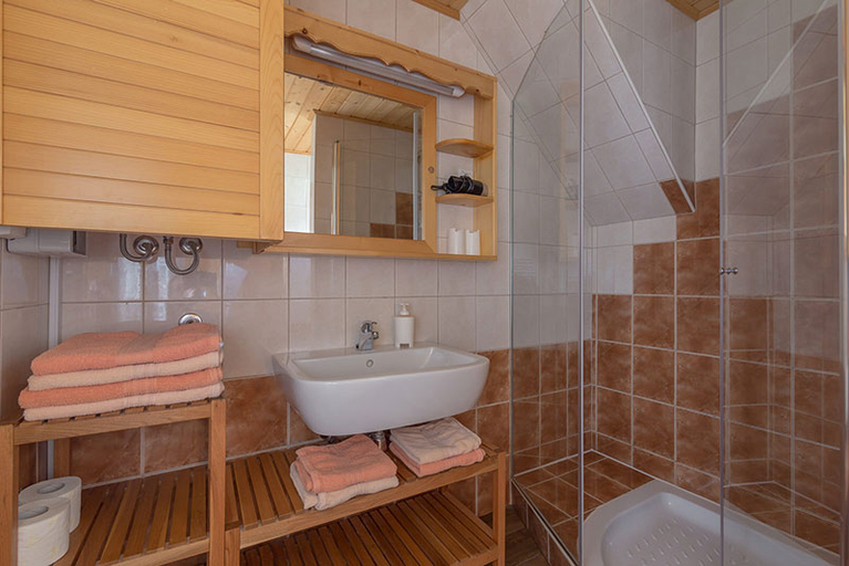 Bathroom 4, Apartments Alp, Bohinj