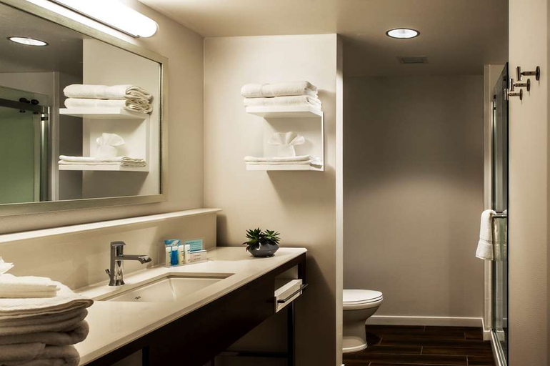 Bathroom 5, Hampton Inn & Suites Foxborough -Mansfield, Foxborough