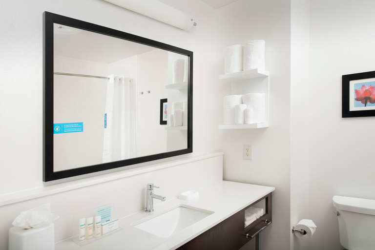 Bathroom 4, Hampton Inn & Suites San Antonio Lackland AFB SeaW, Bexar