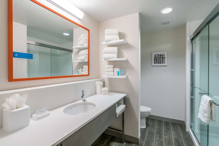 Bathroom 4, Hampton Inn&Suites Hilton Glenarden Washington Dc, Prince George's
