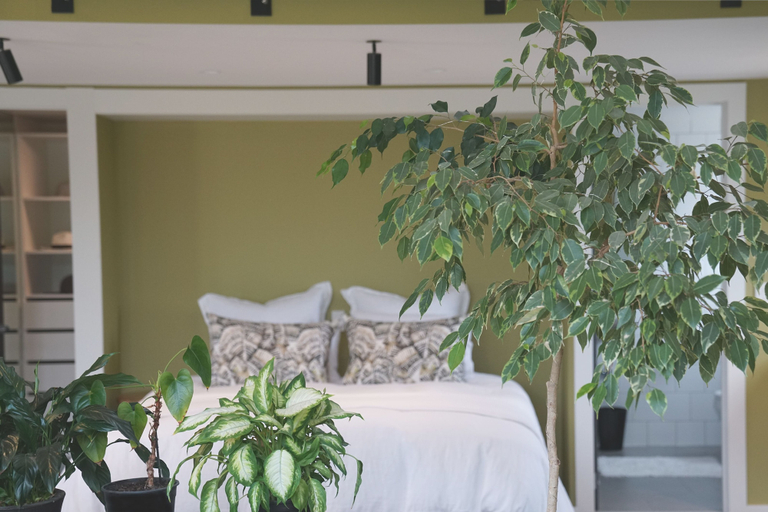 Bedroom 4, Te Arai Lodge, Rodney