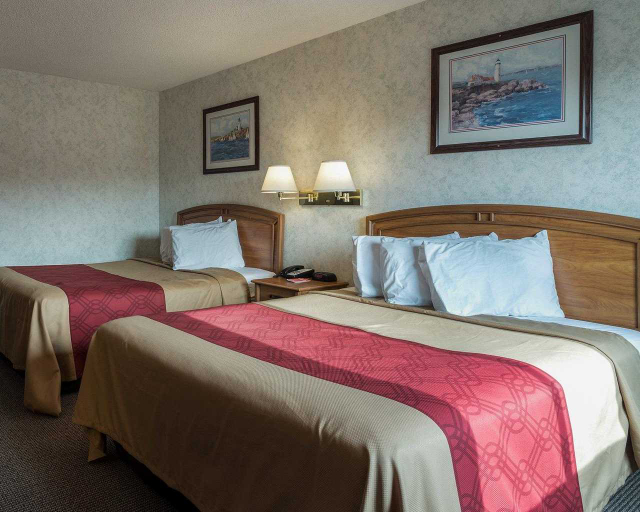 Bedroom 3, Econo Lodge Inn & Suites Farmington, Ontario