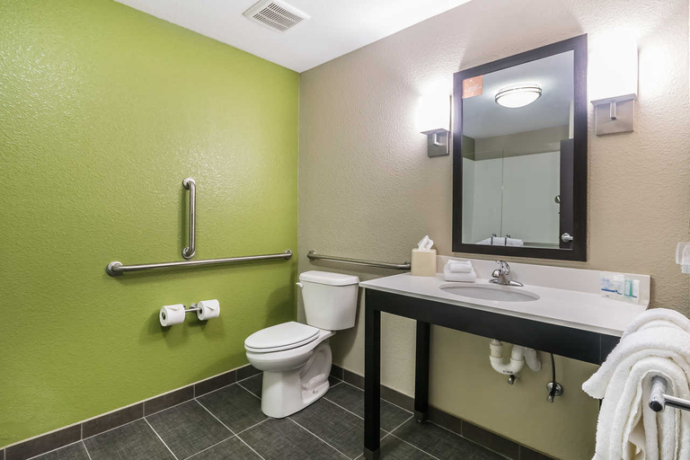 Bathroom 4, Sleep Inn & Suites Columbia, Adair