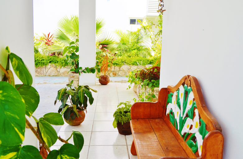 Public Area, Corales Suites, Benito Juárez
