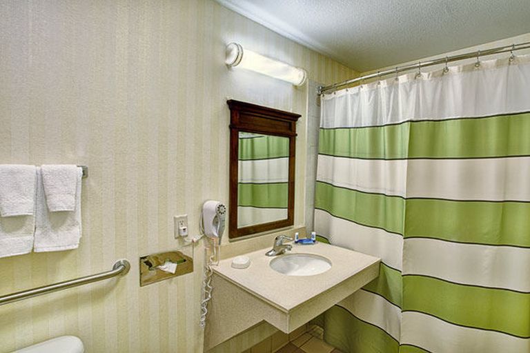 Bathroom 4, Fairfield Inn & Suites Laredo, Webb