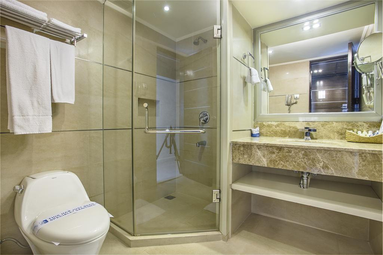 Bathroom 5, Agrabad Hotel, Chittagong