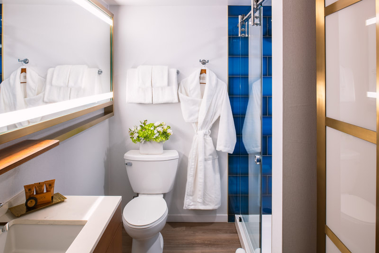 Bathroom 4, Le Meridien Essex Chicago, Cook