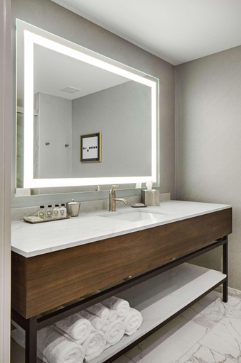 Bathroom 4, The Sire Hotel Lexington,Tapestry Collection by Hi, Fayette