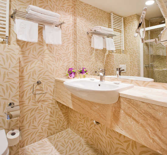 Bathroom, Grand hotel Sava, Rogaška Slatina