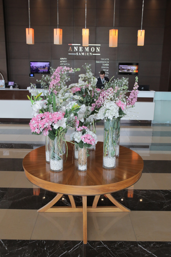 Public Area 5, Anemon Grand Samsun Hotel, Merkez
