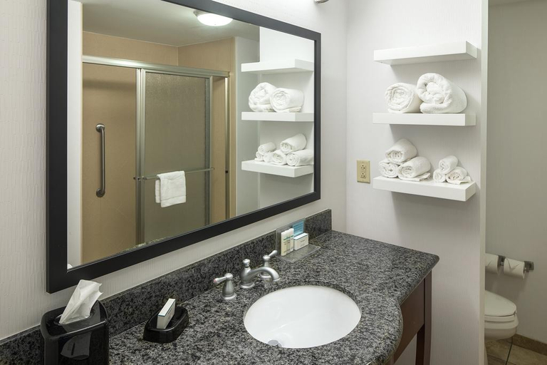 Bathroom 4, Hampton Inn & Suites Little Rock-Downtown, Pulaski