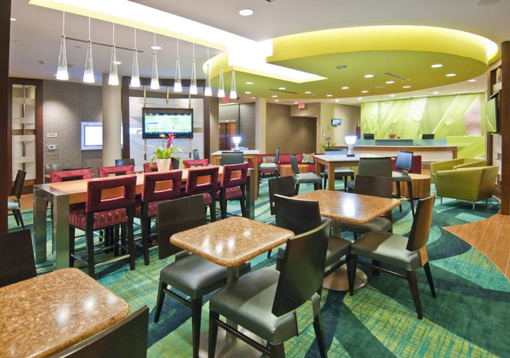 Public Area 3, SpringHill Suites Baton Rouge Gonzales, Ascension