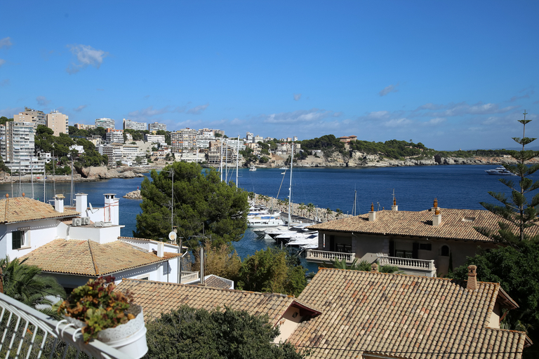 Exterior & Views 2, Hotel Zhero-Palma, Baleares