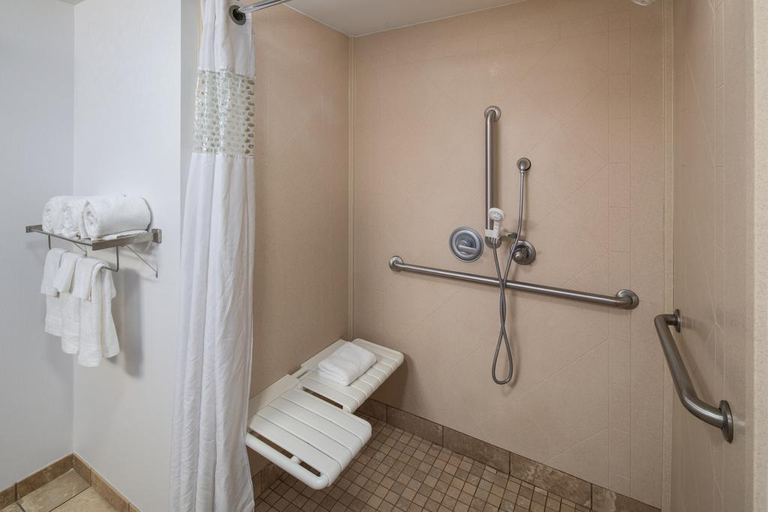Bathroom 4, Hampton Inn & Suites Little Rock-Downtown, Pulaski