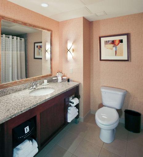 Bathroom 5, Embassy Suites by Hilton Norman Hotel & Conference, Cleveland