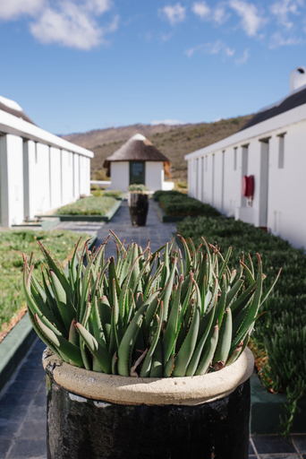 Exterior & Views 1, Karoo 1 Hotel Village, Cape Winelands