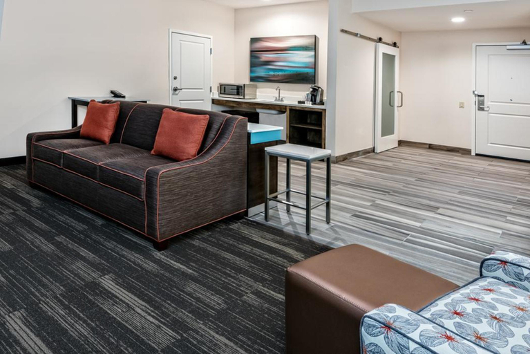 Public Area 2, Hilton Garden Inn San Marcos, TX, Hays