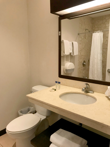 Bathroom 5, Villas Sol Beach Resort, Carrillo