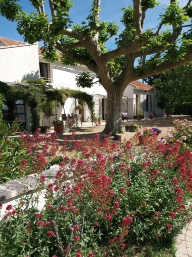 Exterior & Views 2, Le Domaine de Tini, Vaucluse