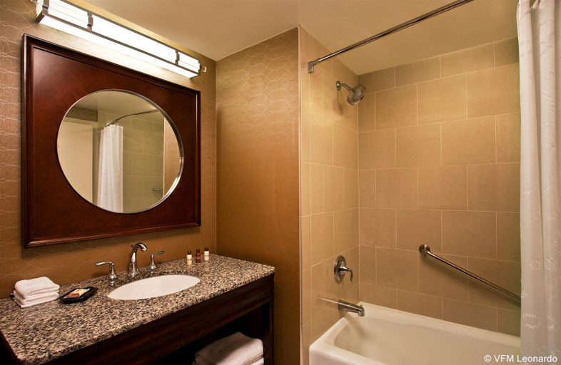 Bathroom 5, Sheraton Tampa Brandon Hotel, Hillsborough