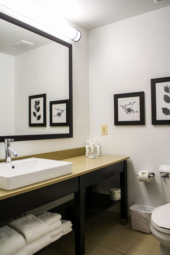 Bathroom 4, Country Inn & Suites by Radisson Washington Dulles, Loudoun