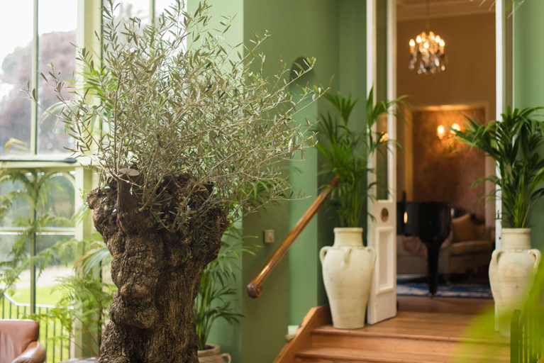 Public Area 3, Cahernane House Hotel
