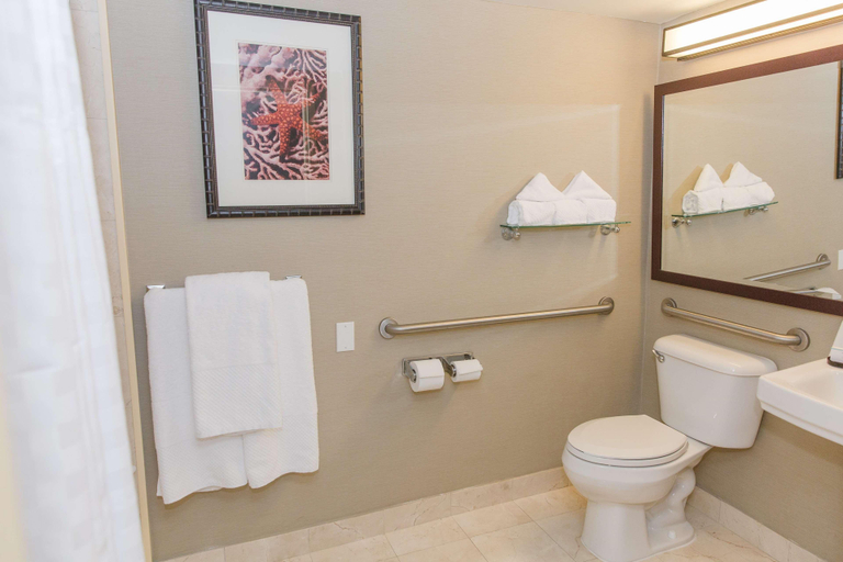 Bathroom 5, Embassy Suites by Hilton West Palm Beach Central, Palm Beach