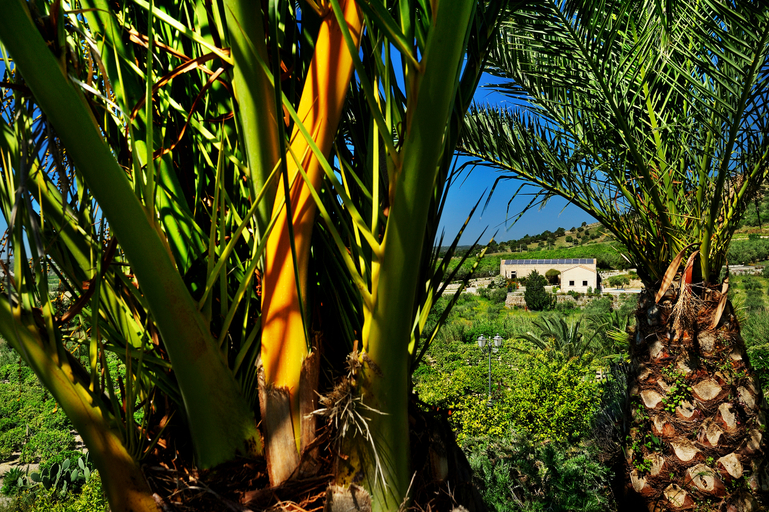Public Area 4, Kallikoros Hotel Spa and Resort, Syracuse